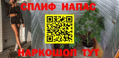 mdpv Краснознаменск