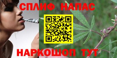 mdpv Краснознаменск