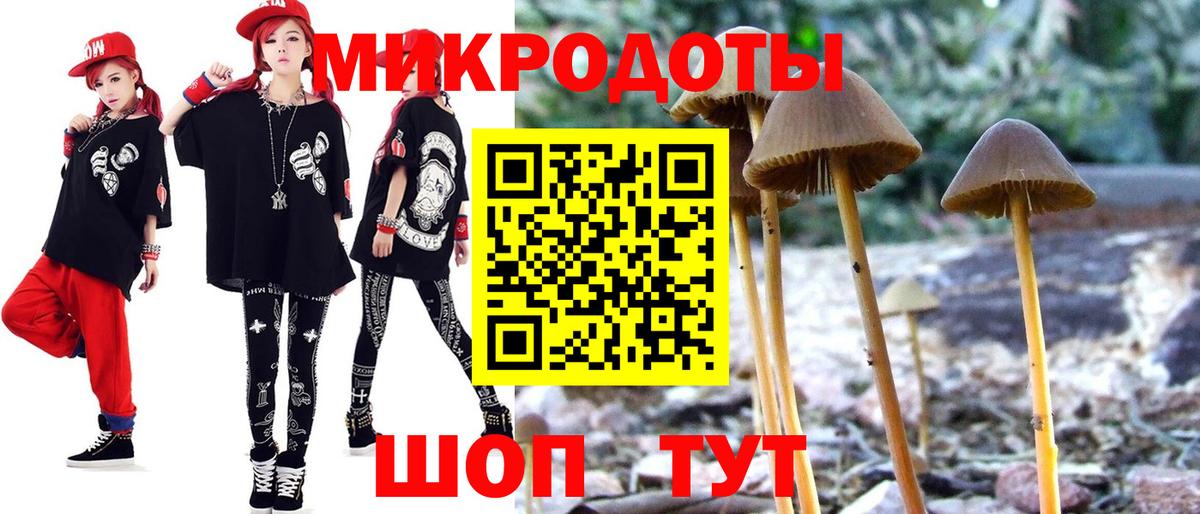 Псилоцибиновые грибы Cubensis Урюпинск