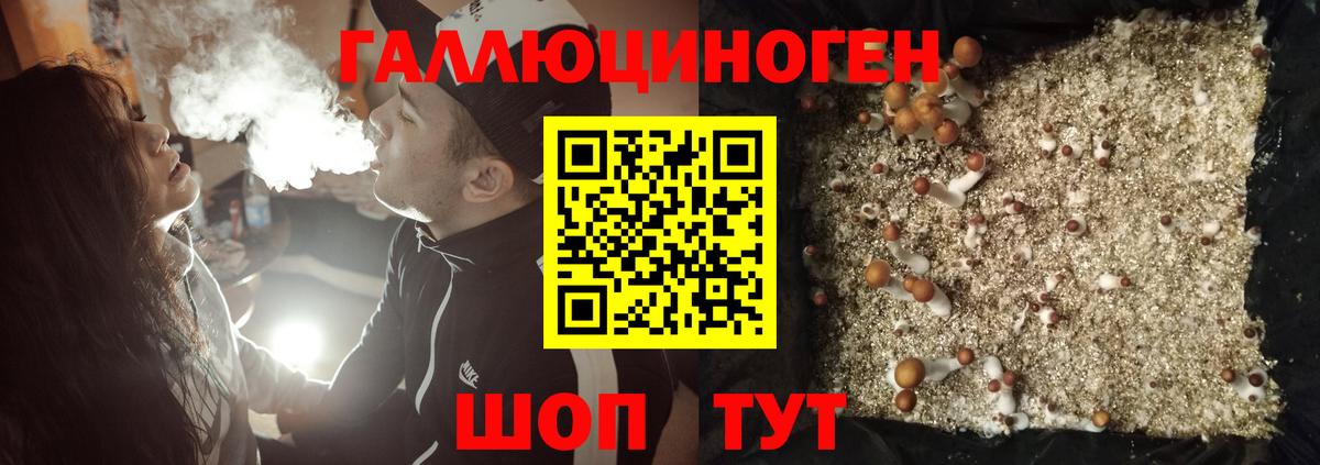 Урюпинск  Псилоцибиновые грибы мухоморы  Вход с VPN  Галлюциногенные грибы прущие грибы 
